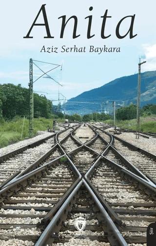 Anita – Aziz Serhat Baykara – Dorlion Yayınları kitap kapağı