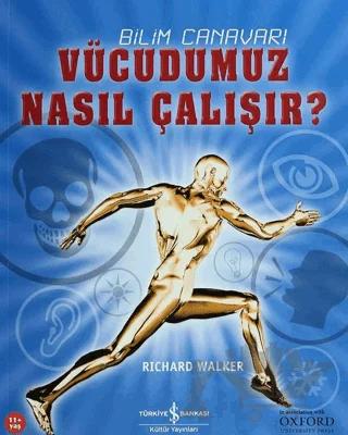 Vücudumuz Nasıl Çalışır?