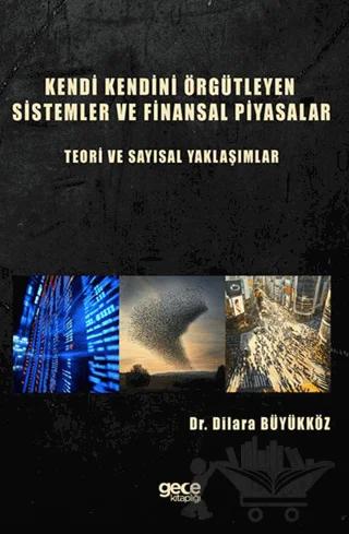 Kendi Kendini Örgütleyen Sistemler ve Finansal Piyasalar : Teori ve Sayısal Yaklaşımlar