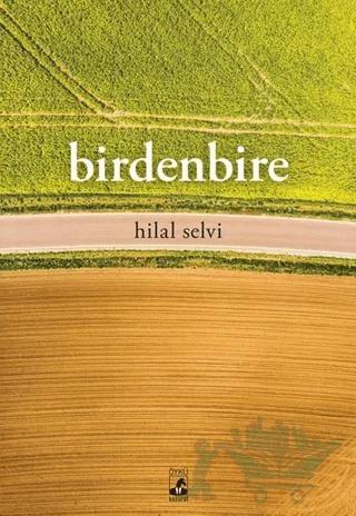 Birdenbire