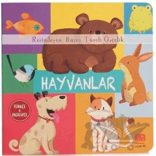 Hayvanlar