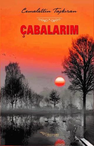 Çabalarım