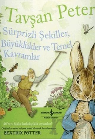 Tavşan Peter Sürprizli Şekiller, Büyüklükler ve Temel Kavramlar
