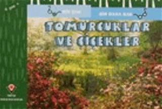 Tomurcuklar ve Çiçekler - Bir Bak Bir Daha Bak