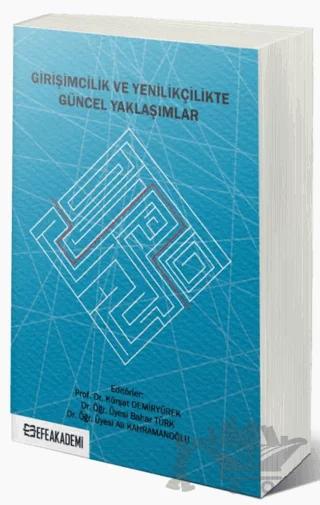 Girişimcilik ve Yenilikçilikte Güncel Yaklaşımlar – Kürşat Demiryürek, Bahar Türk, Ali Kahramanoğlu – Efe Akademi Yayınları kitap kapağı
