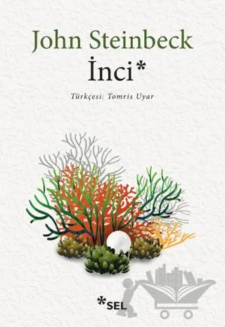 İnci