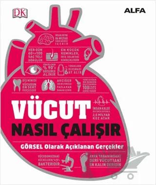 Vücut Nasıl Çalışır