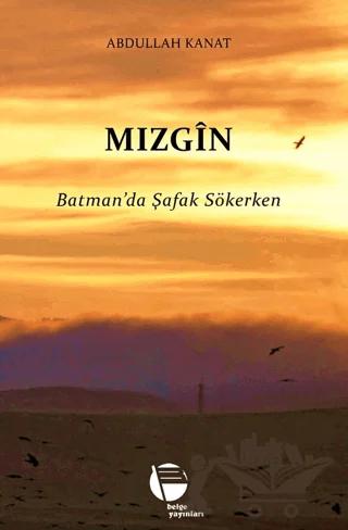 Mızgin