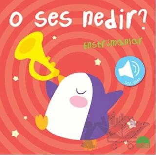 O Ses Nedir? - Enstrümanlar (Sesli Kitap)