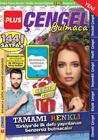 Plus Çengel Bulmaca 10