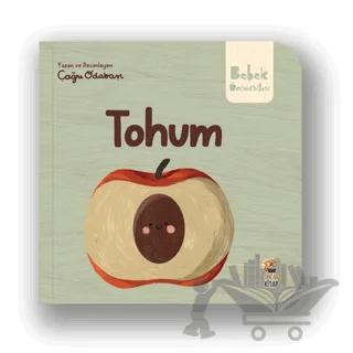 Tohum
