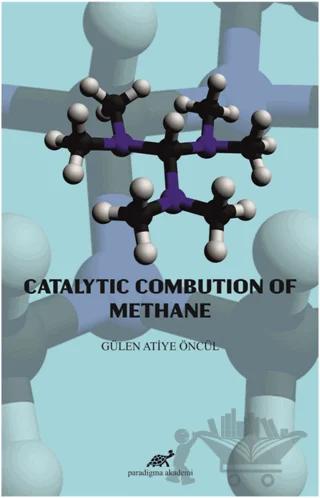 Catalytic Combution Of Methane