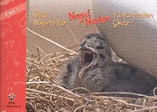 Bazı Hayvanlar Nasıl ve Neden Yumurtadan Çıkar