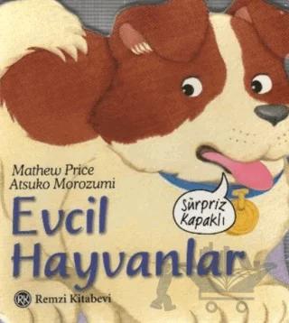 Evcil Hayvanlar