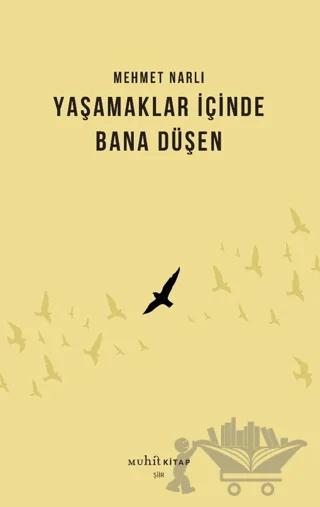 Yaşamaklar İçinde Bana Düşen