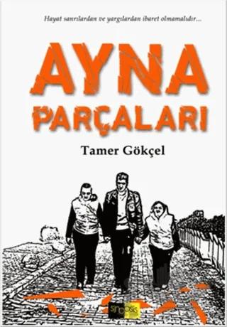 Ayna Parçaları