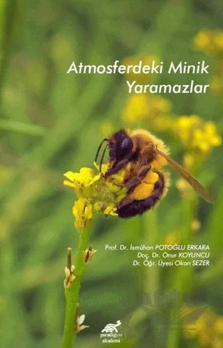 Atmosferdeki Minik Yaramazlar