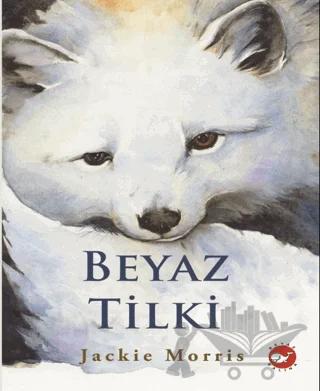 Beyaz Tilki