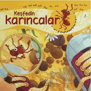 Keşfedin - Karıncalar