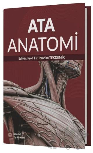 Ata Anatomi