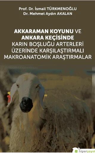Akkaraman Koyunu ve Ankara Keçisinde Karın Boşluğu Arterleri Üzerinde Karşılaştırmalı Makroanatomik Araştırmalar