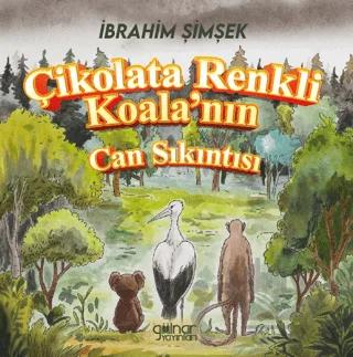 Çikolata Renkli Koala’nın Can Sıkıntısı
