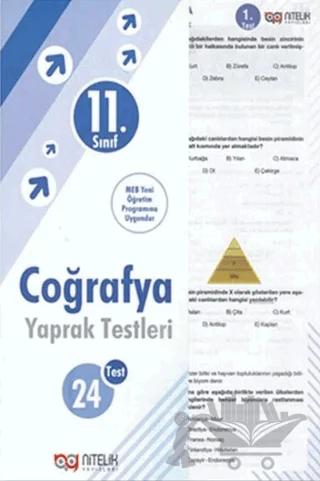 11. Sınıf Coğrafya 24 Yaprak Test