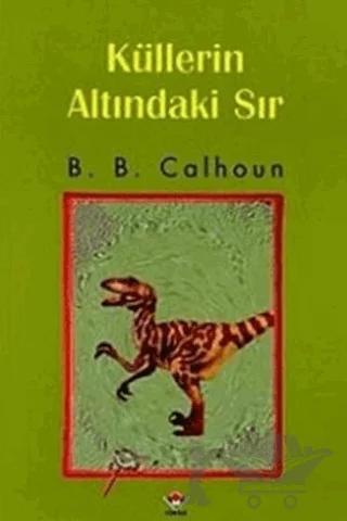 Küllerin Altındaki Sır