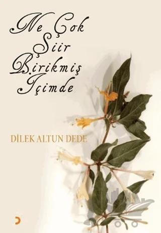 Ne Çok Şiir Birikmiş İçimde