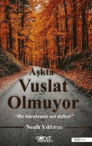 Aşkta Vuslat Olmuyor - Bir Bürokratın Not Defteri