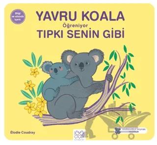 Yavru Koala Öğreniyor Tıpkı Senin Gibi