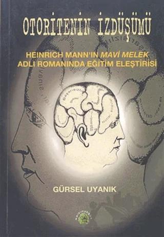 Otoritenin İzdüşümü