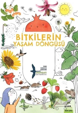 Bitkilerin Yaşam Döngüsü