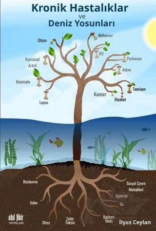 Kronik Hastalıklar ve Deniz Yosunları