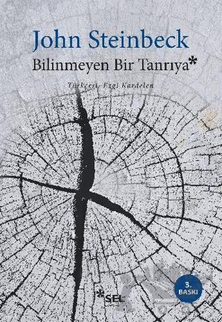 Bilinmeyen Bir Tanrıya