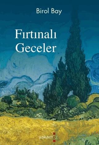 Fırtınalı Geceler