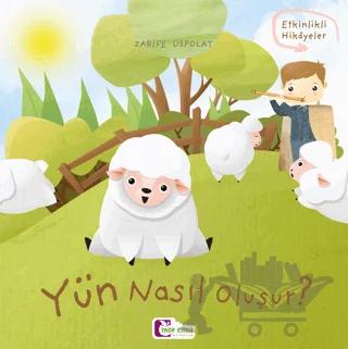 Yün Nasıl Oluşur?