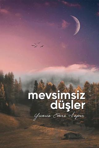 Mevsimsiz Düşler – Yunus Emre İspir – Alka Yayınevi kitap kapağı
