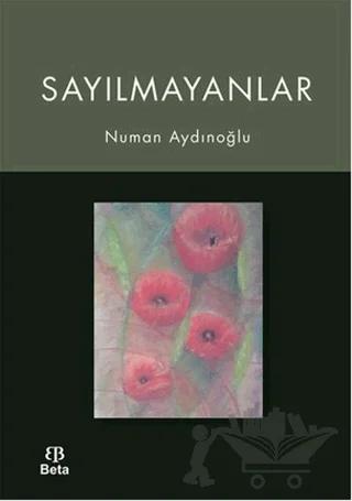 Sayılmayanlar