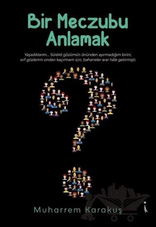 Bir Meczubu Anlamak