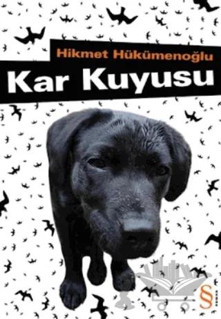 Kar Kuyusu