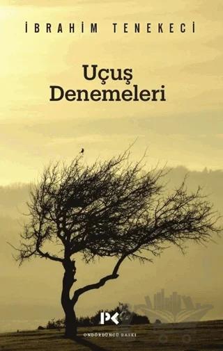 Uçuş Denemeleri