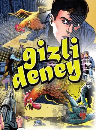 Gizli Deney