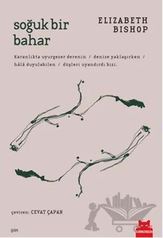 Soğuk Bir Bahar – Elizabeth Bishop – Kırmızı Kedi Yayınevi kitap kapağı
