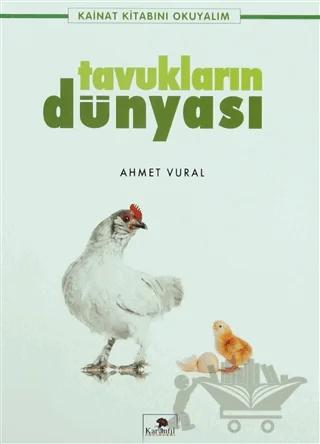 Tavukların Dünyası