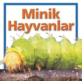 Minik Hayvanlar – Kolektif – Beta Kids kitap kapağı