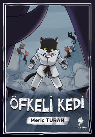 Öfkeli Kedi