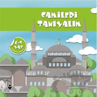 Camileri Tanıyalım