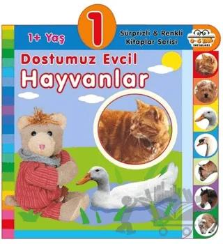 1+ Yaş Dostumuz Evcil Hayvanlar