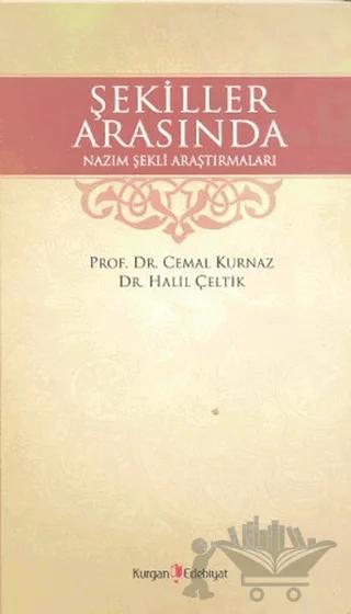 Şekiller Arasında